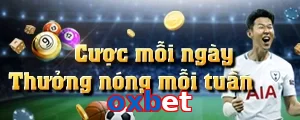 oxbet